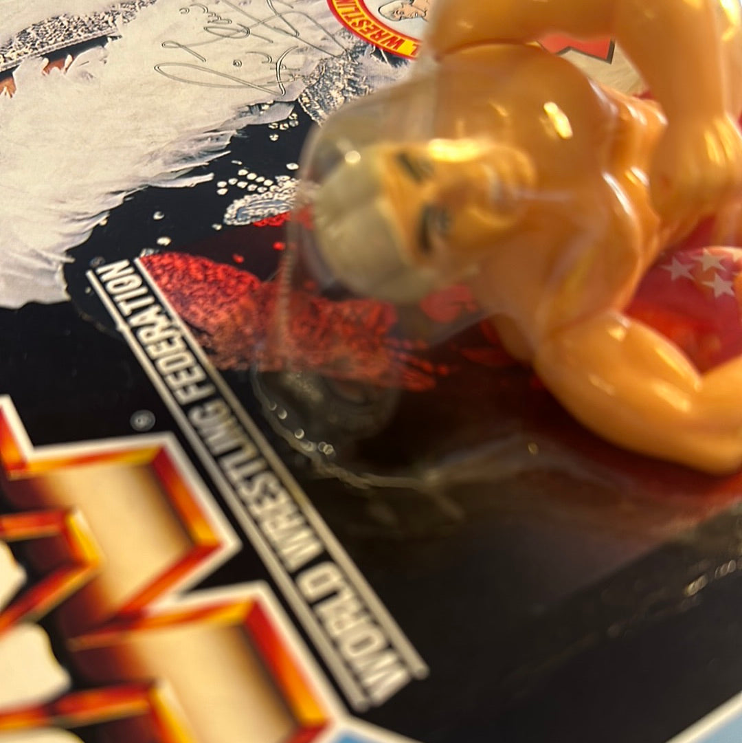 Ric Flair Series 6 WWF Hasbro