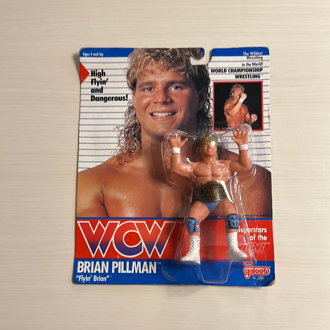 Brian Pillman WCW Galoob Blue Trunks UK Exclusive