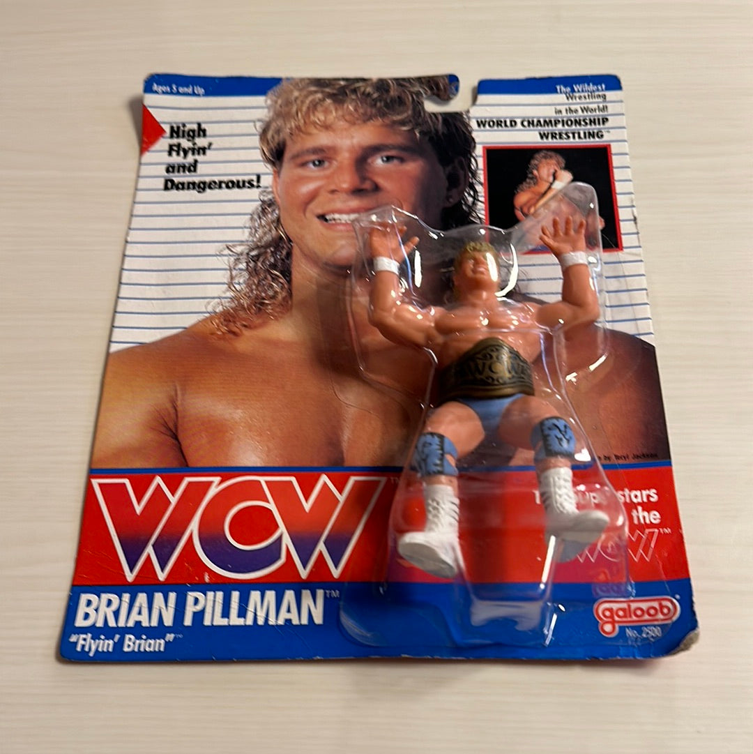 Brian Pillman WCW Galoob Blue Trunks UK Exclusive