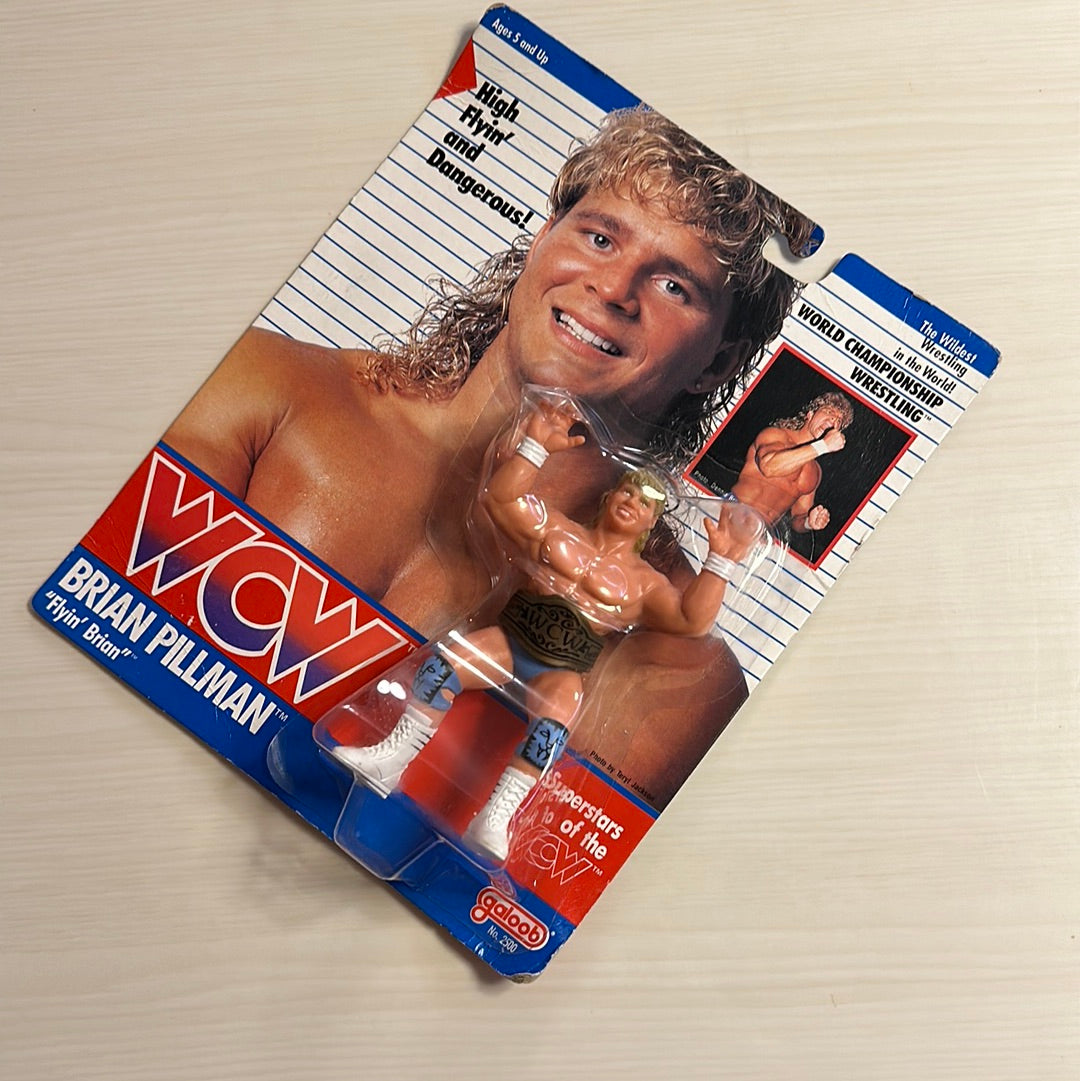 Brian Pillman WCW Galoob Blue Trunks UK Exclusive