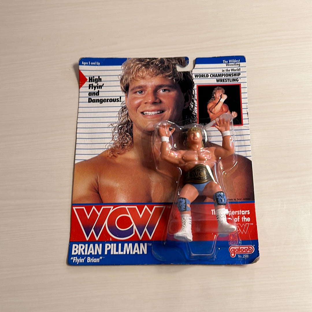 Brian Pillman WCW Galoob Blue Trunks UK Exclusive