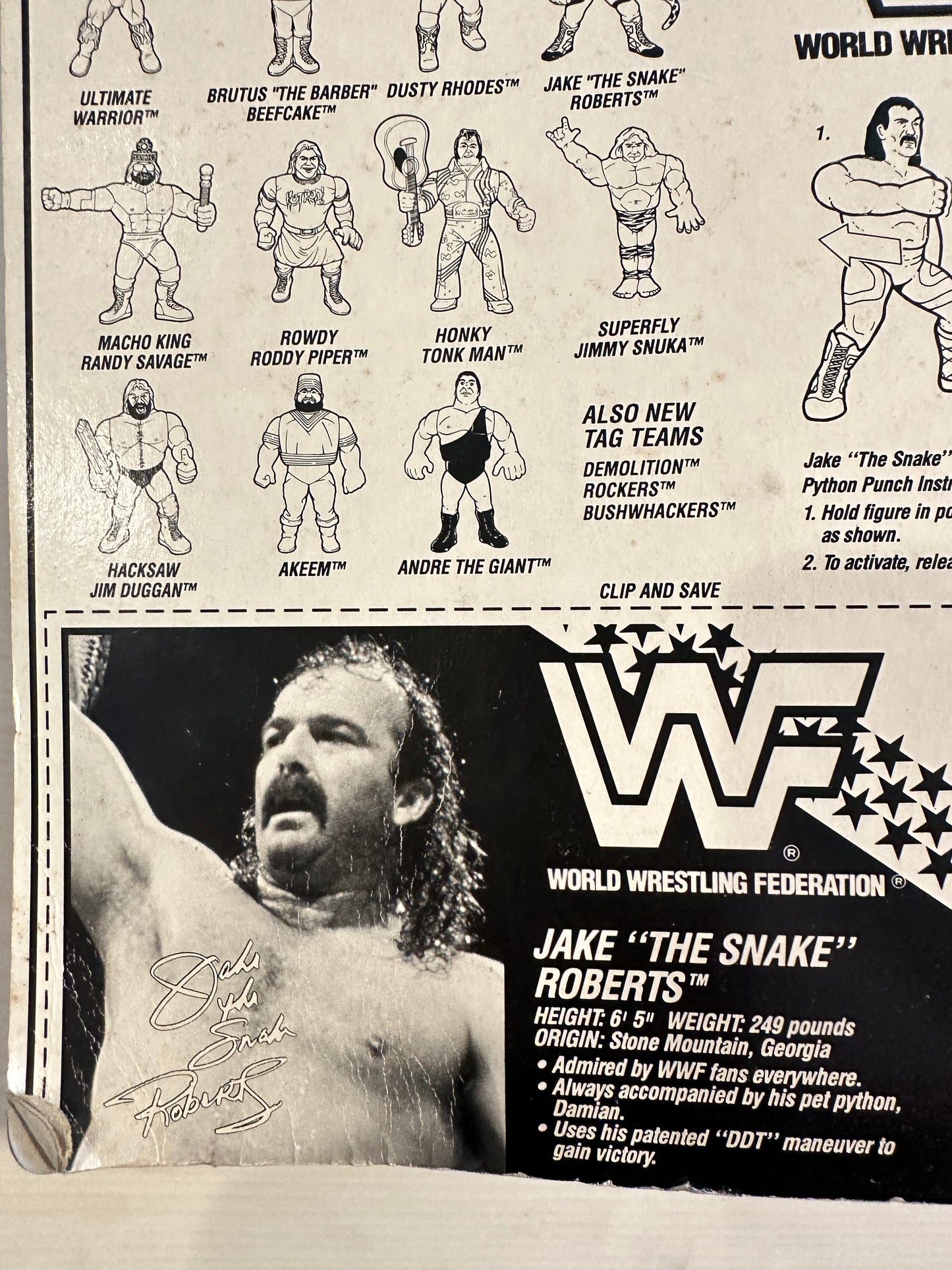 Jake the Snake Roberts Series 1 WWF Hasbro