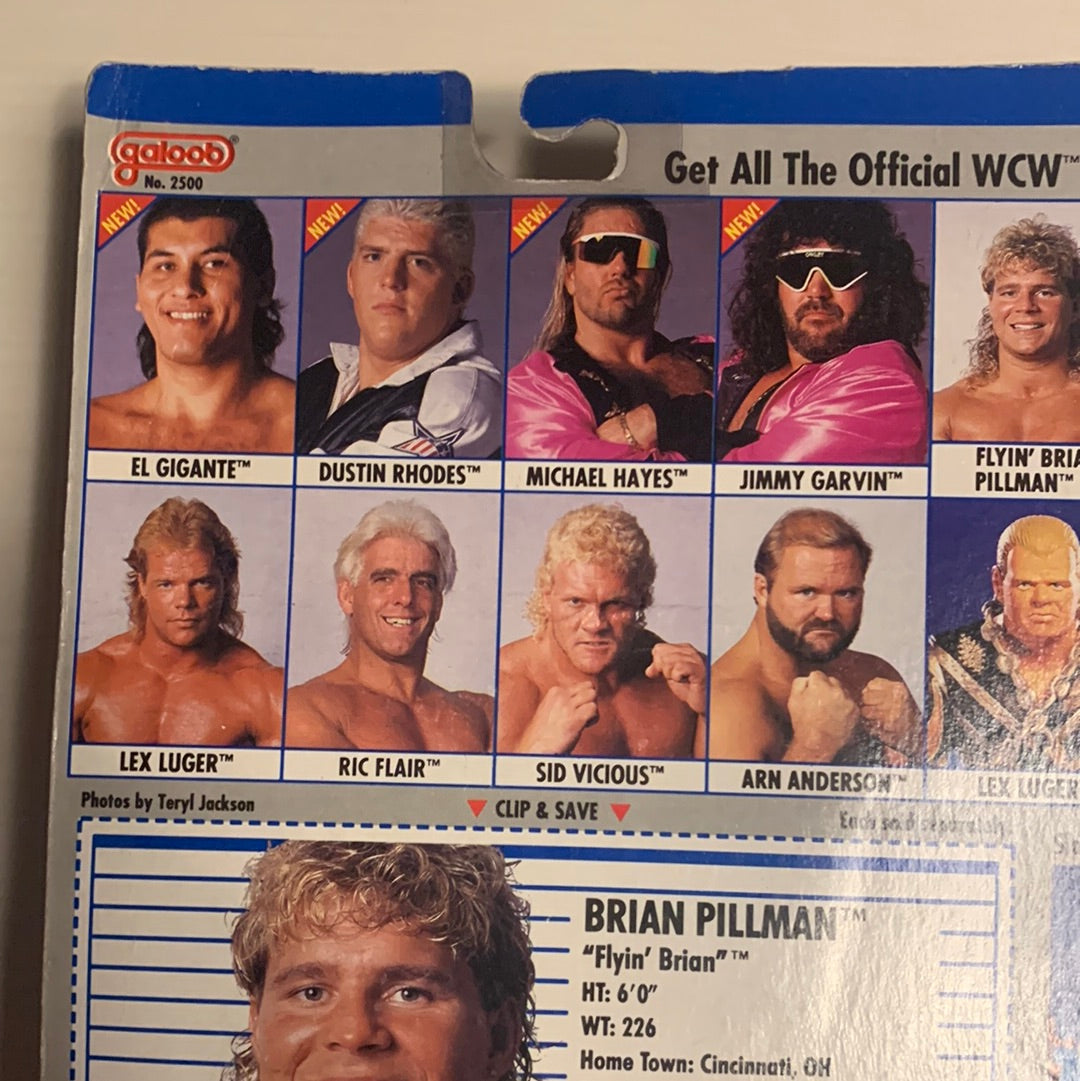 Brian Pillman WCW Galoob Blue Trunks U.K.