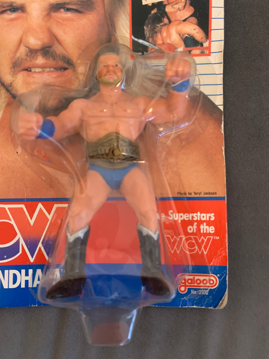 Barry Windham Blue Trunks WCW Galoob
