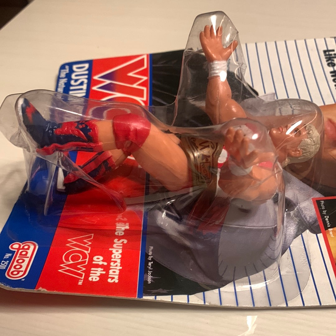 Dustin Rhodes WCW Galoob