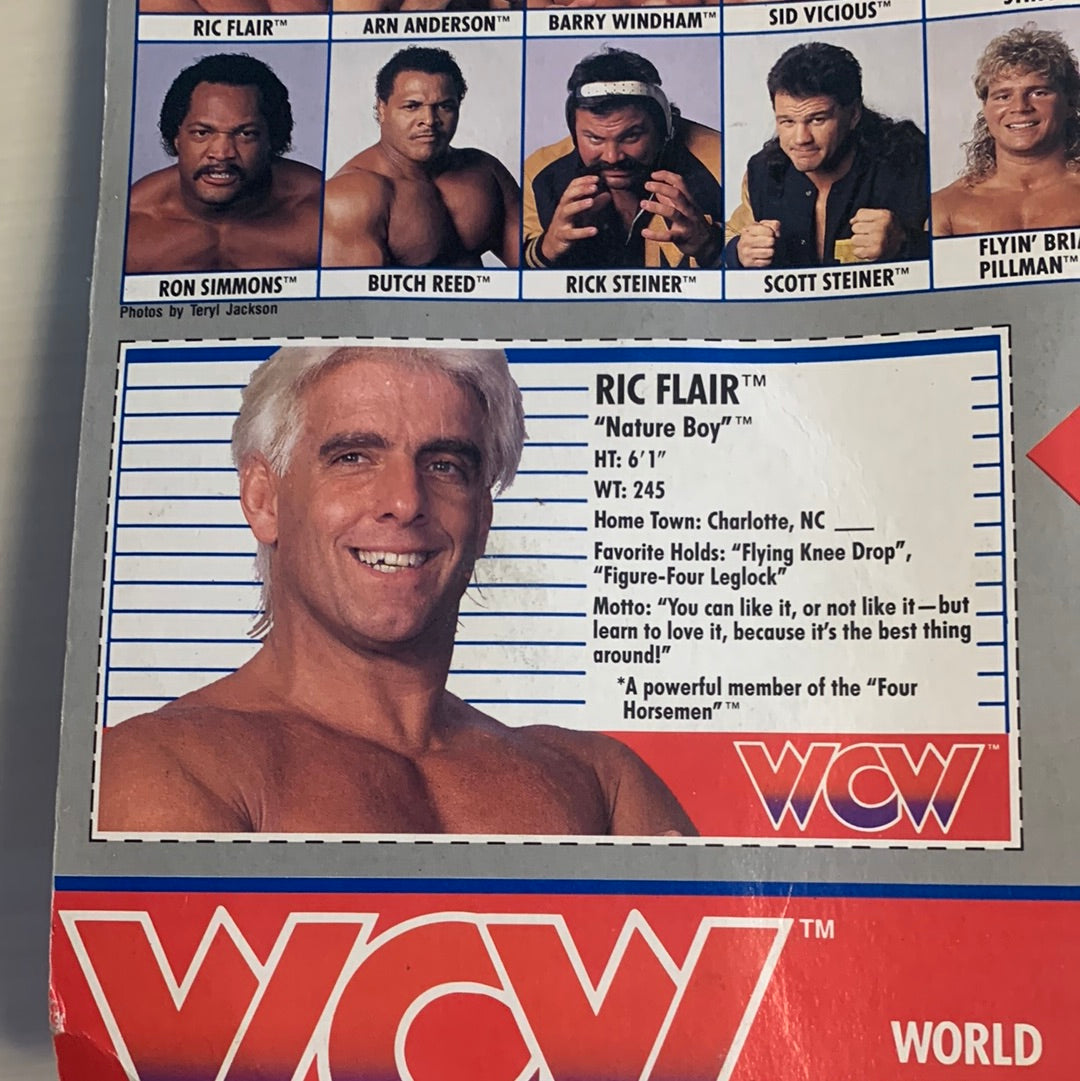 Ric Flair Blue Trunks WCW Galoob