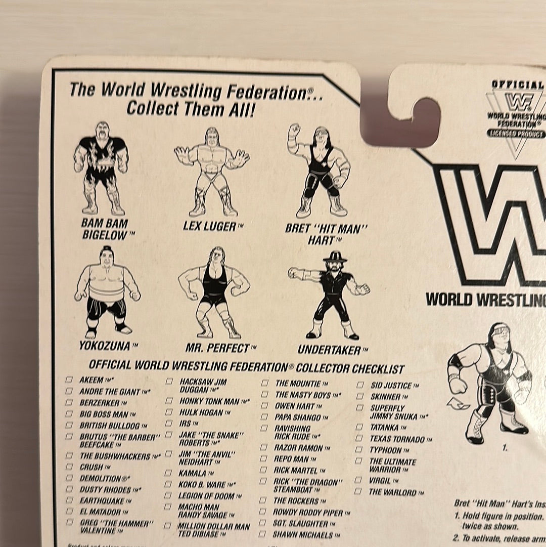 Bret the Hitman Hart Series 8 WWF Hasbro