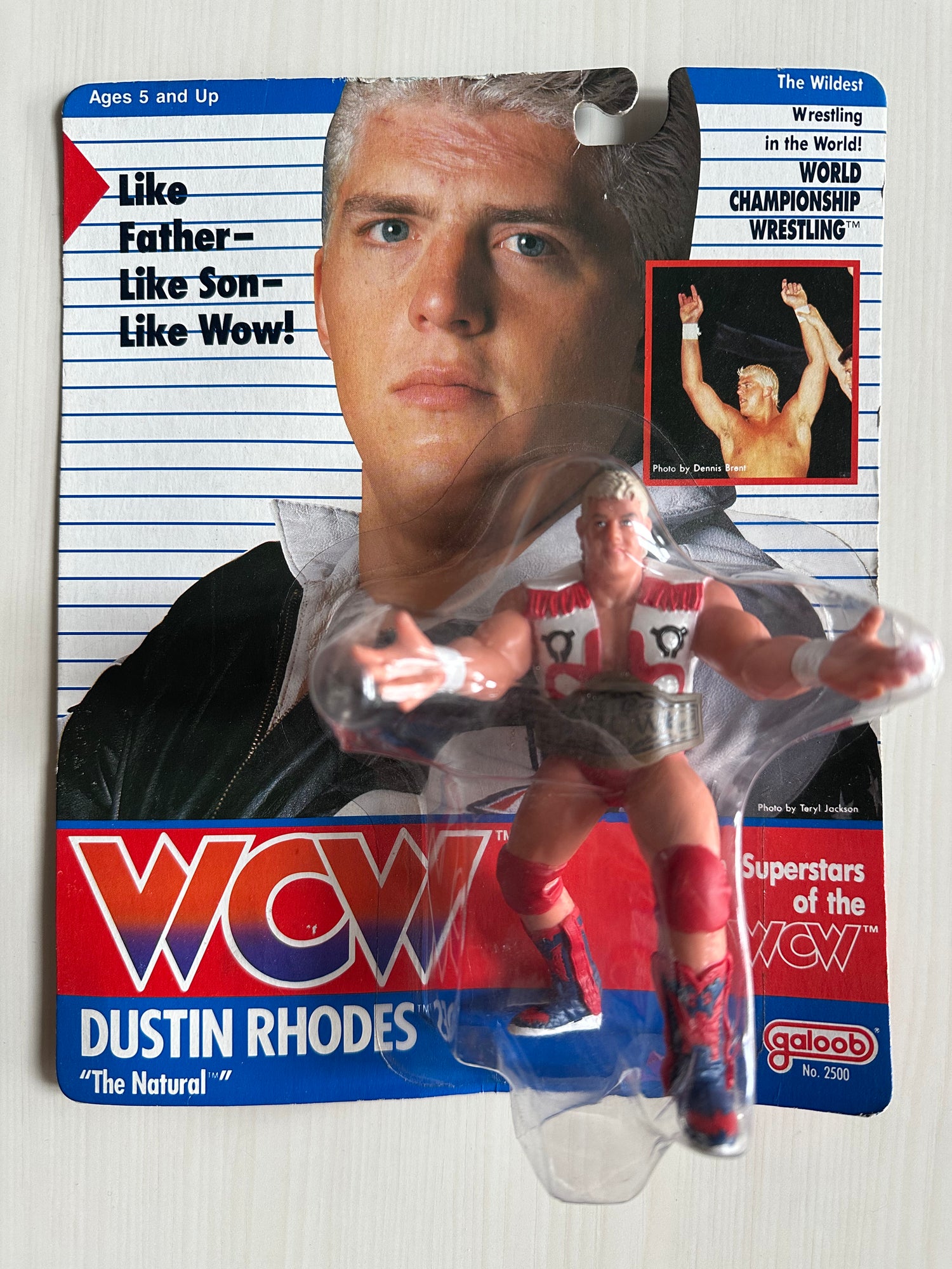 WCW Galoob