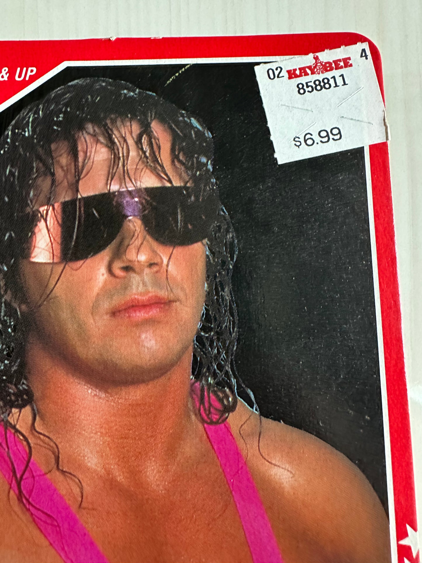 Bret the Hitman Hart Series 8 WWF Hasbro