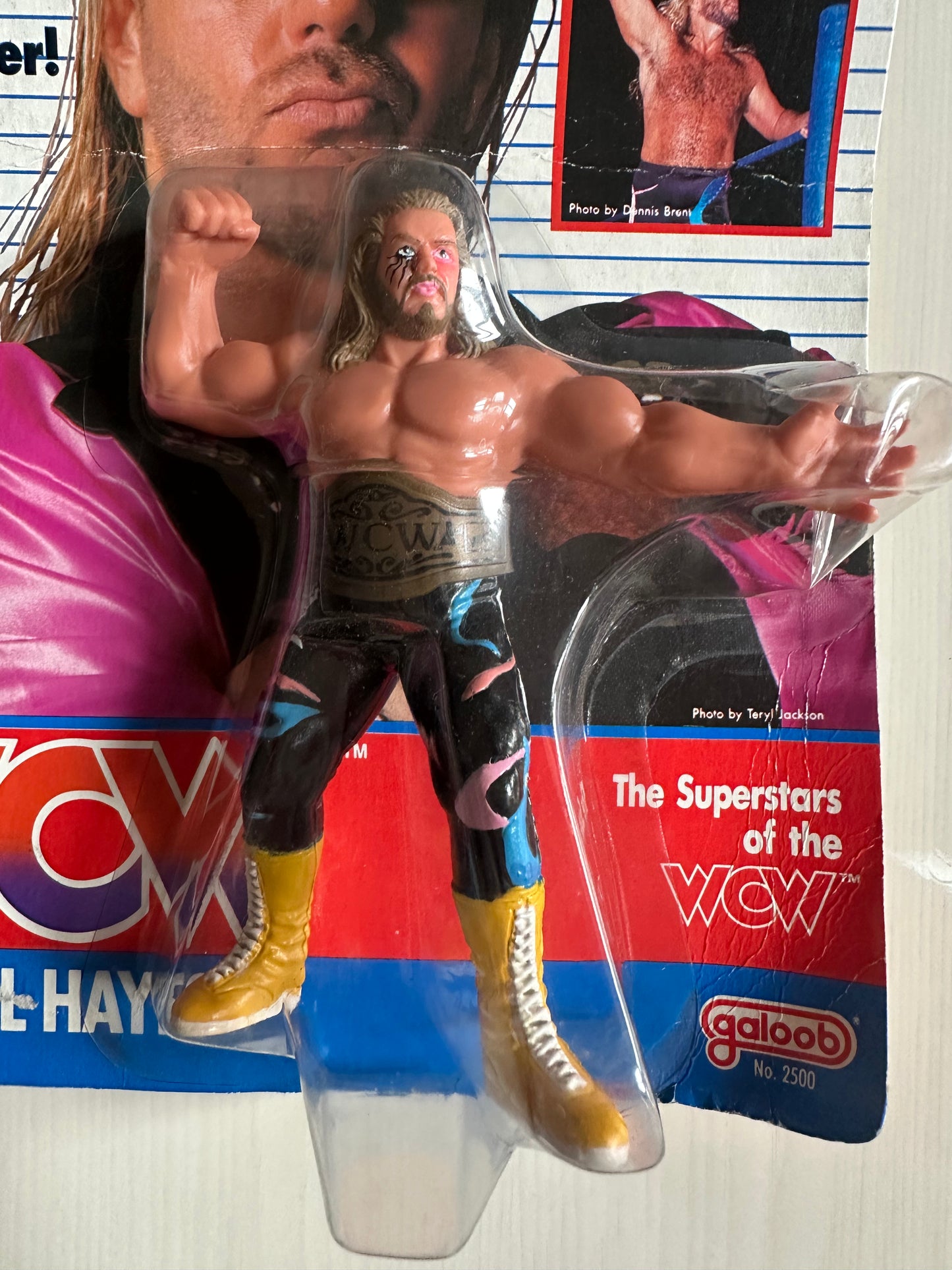 Michael PS Hayes WCW Galoob UK Exclusive