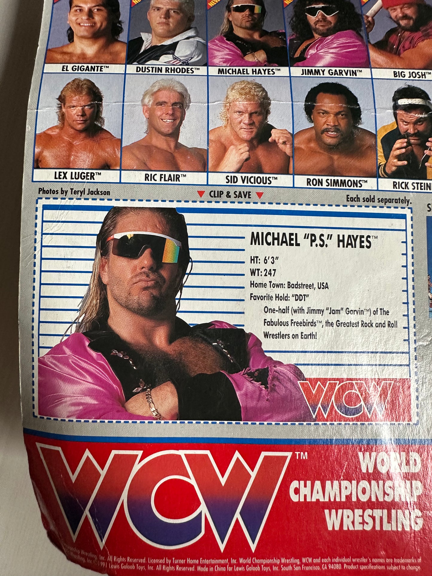 Michael PS Hayes WCW Galoob UK Exclusive