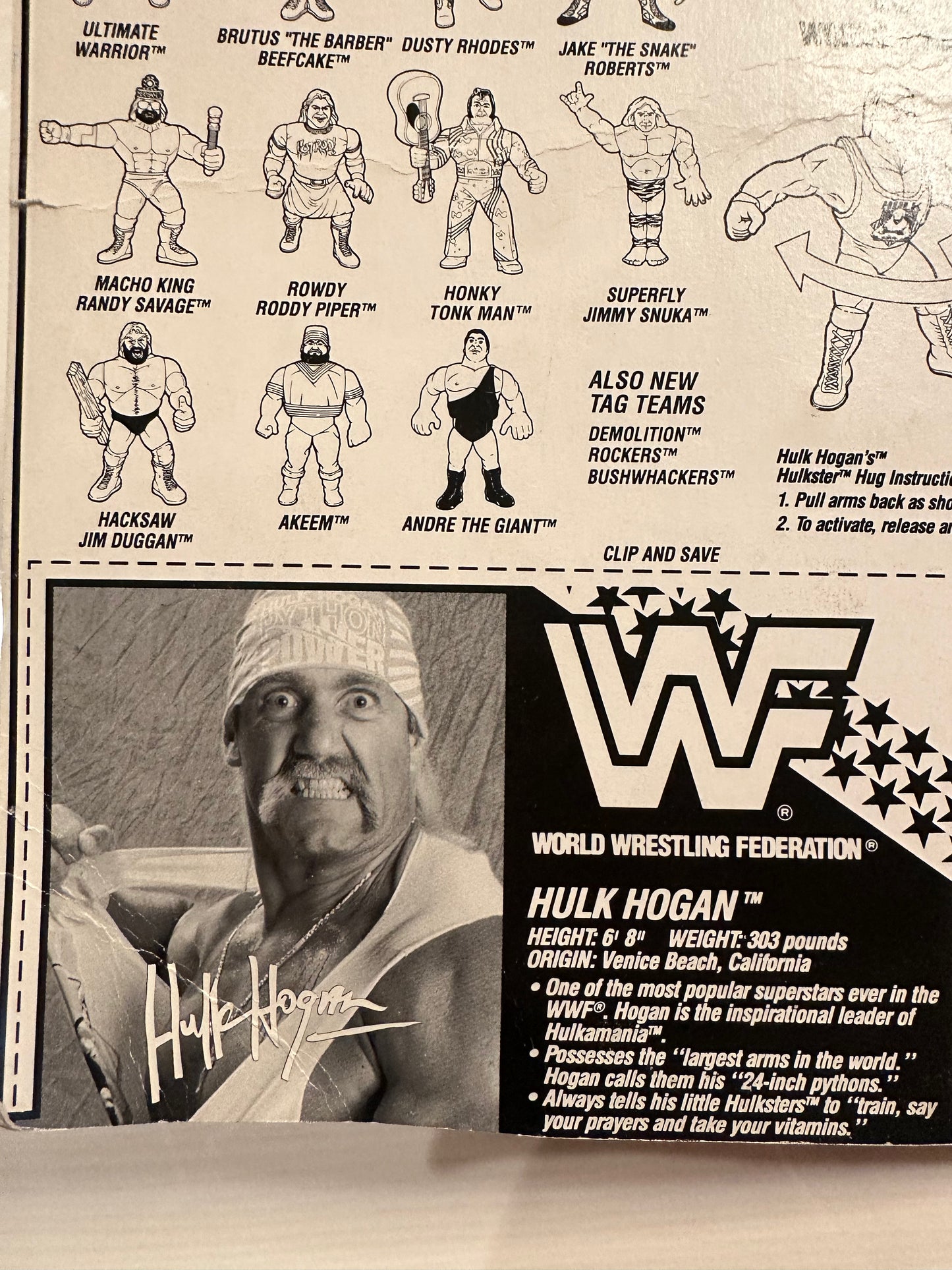 Hulk Hogan Series 2 WWF Hasbro