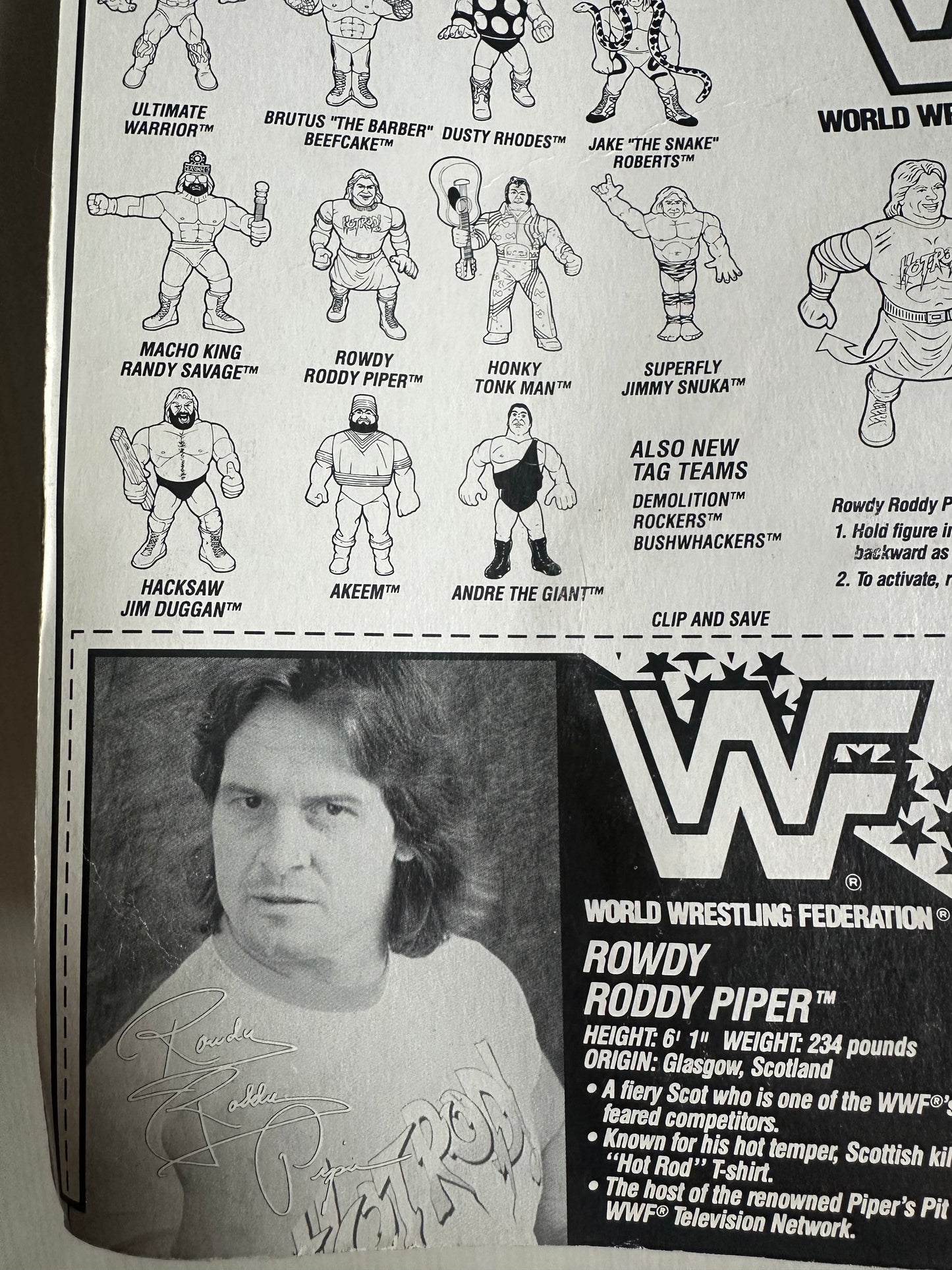 Rowdy Roddy Piper Series 2 WWF Hasbro MOC Korean variant