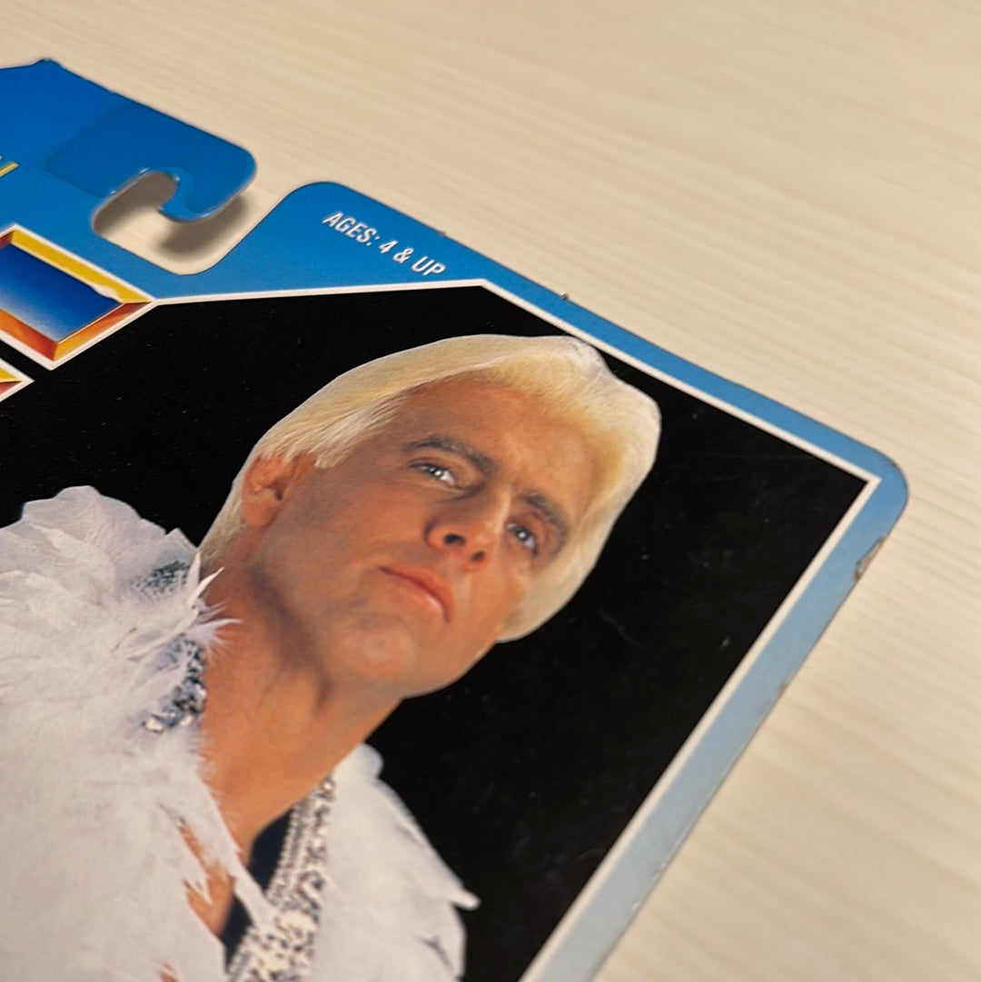 Ric Flair Series 6 WWF Hasbro