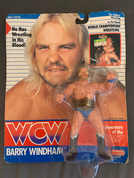 Barry Windham Blue Trunks WCW Galoob