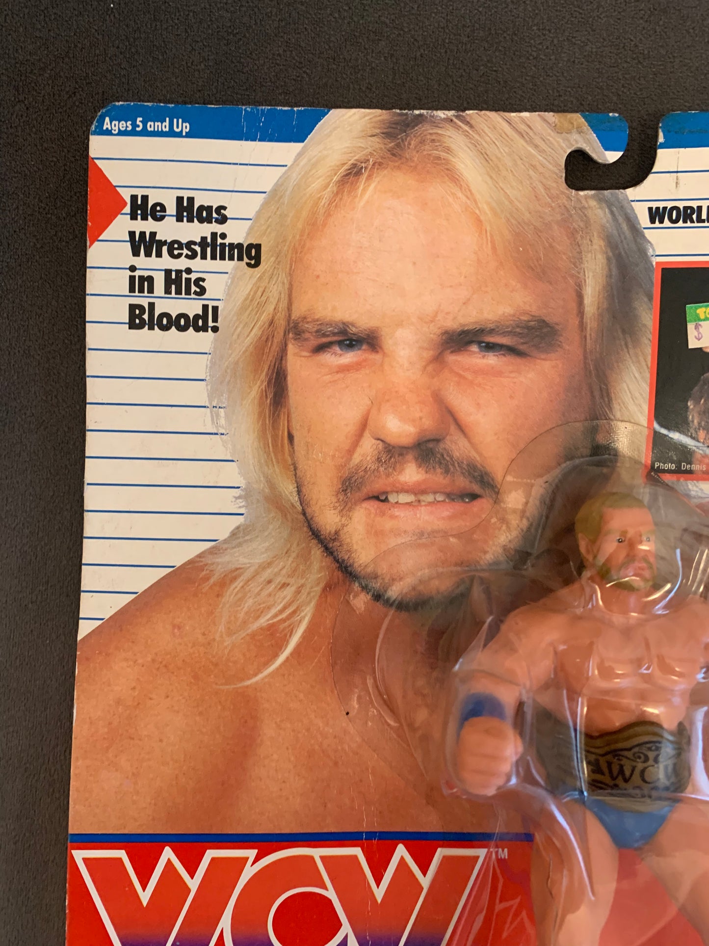 Barry Windham Blue Trunks WCW Galoob