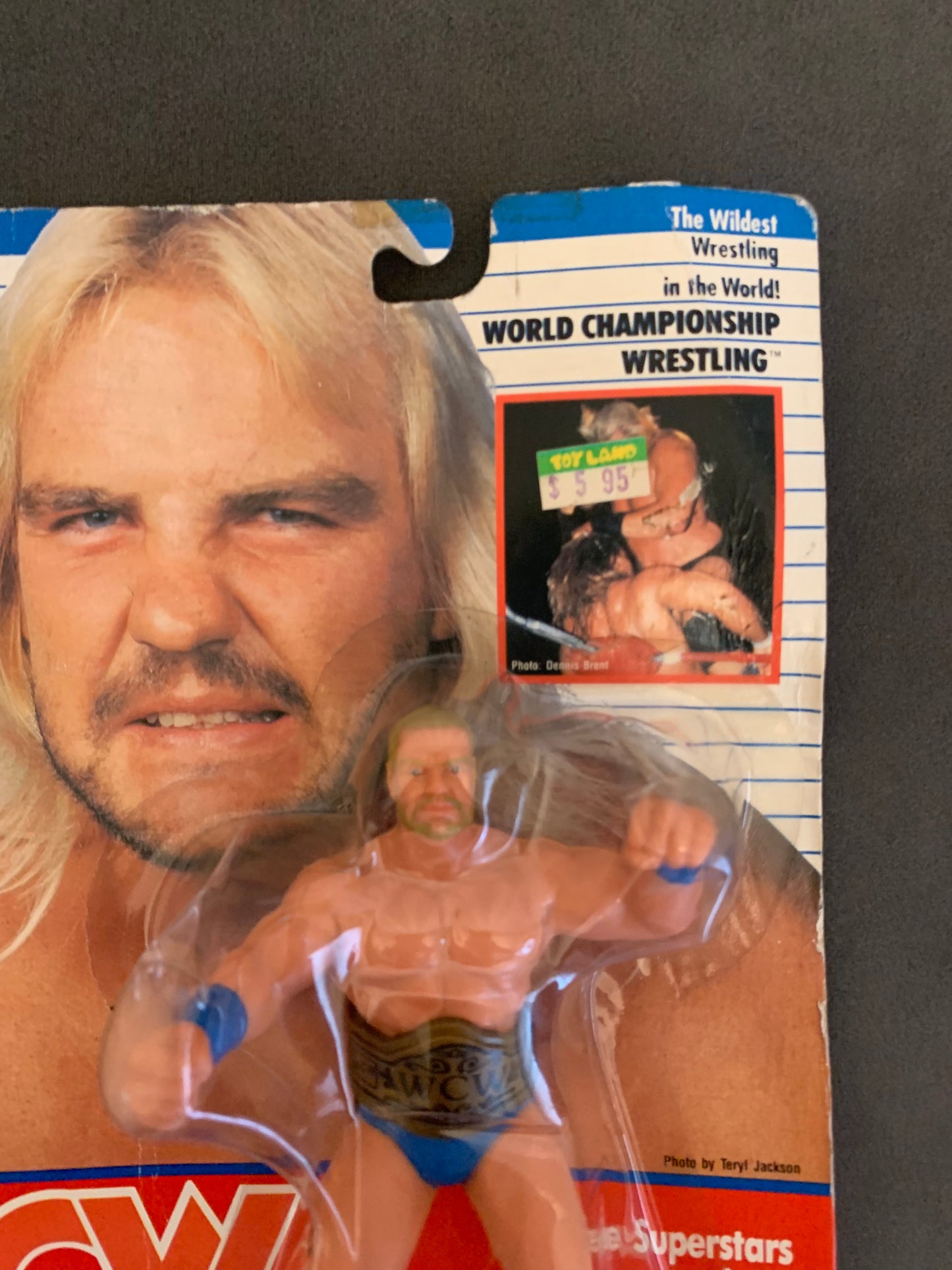 Barry Windham Blue Trunks WCW Galoob